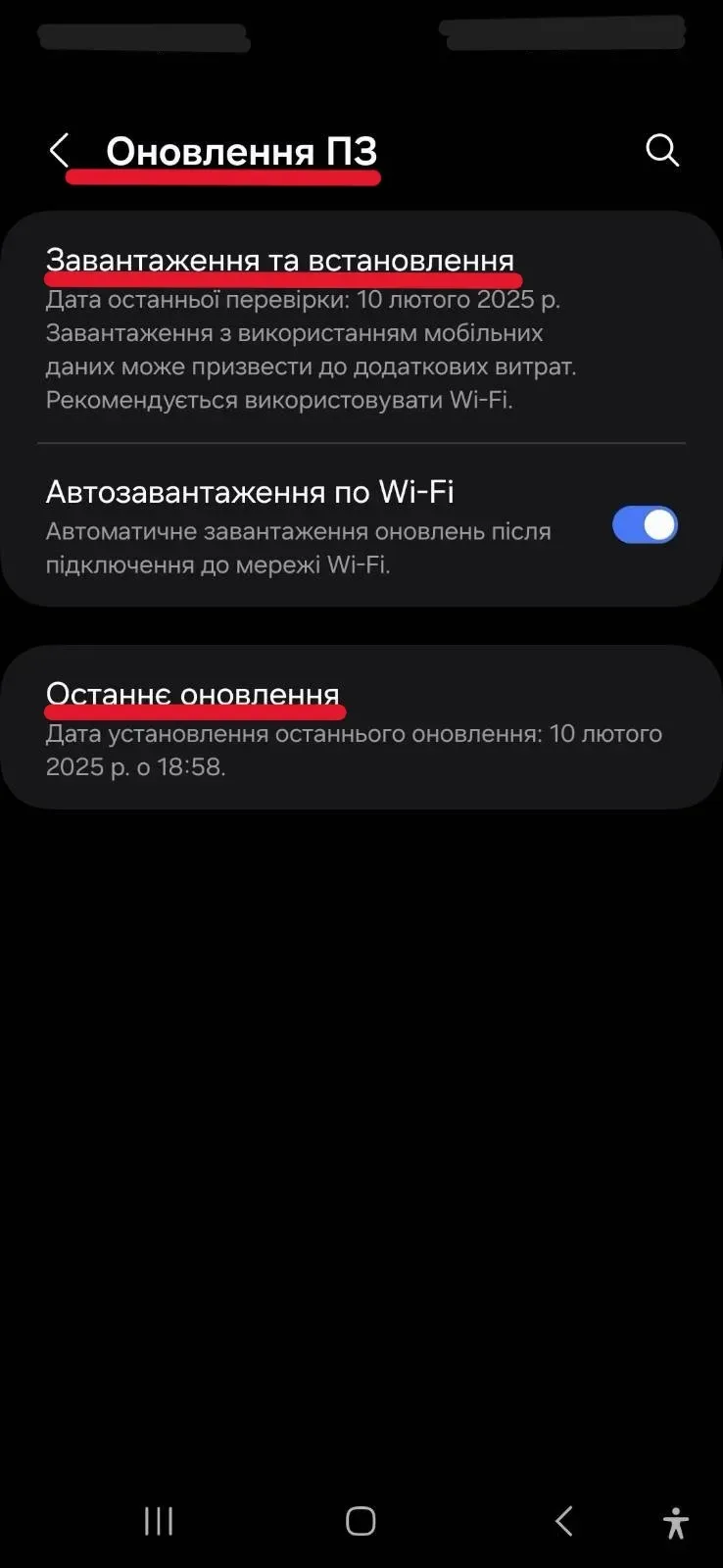 Скріншот меню оновлення версії операційної системи Android