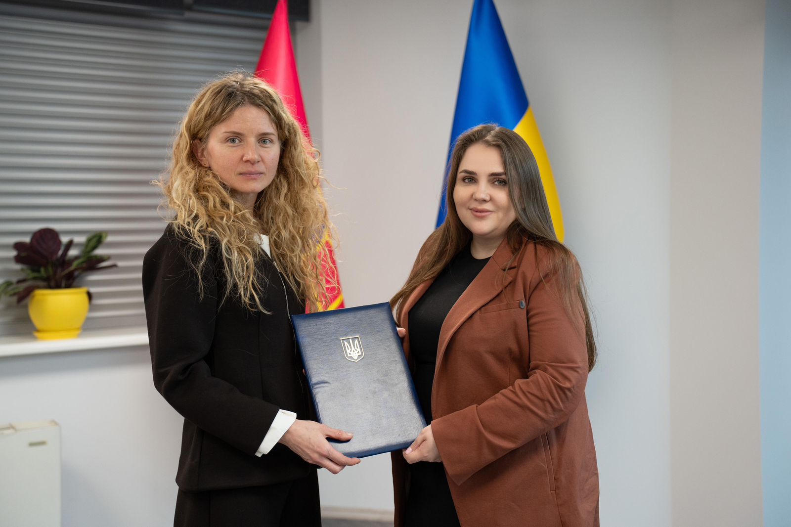 Допомога розробникам для створення технологічних рішень