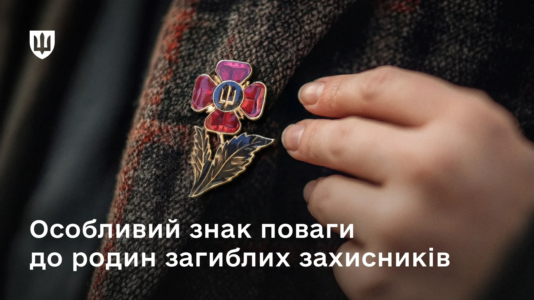 Нагрудний знак «Честь та пам’ять» у вигляді квітки червоного маку на одязі 