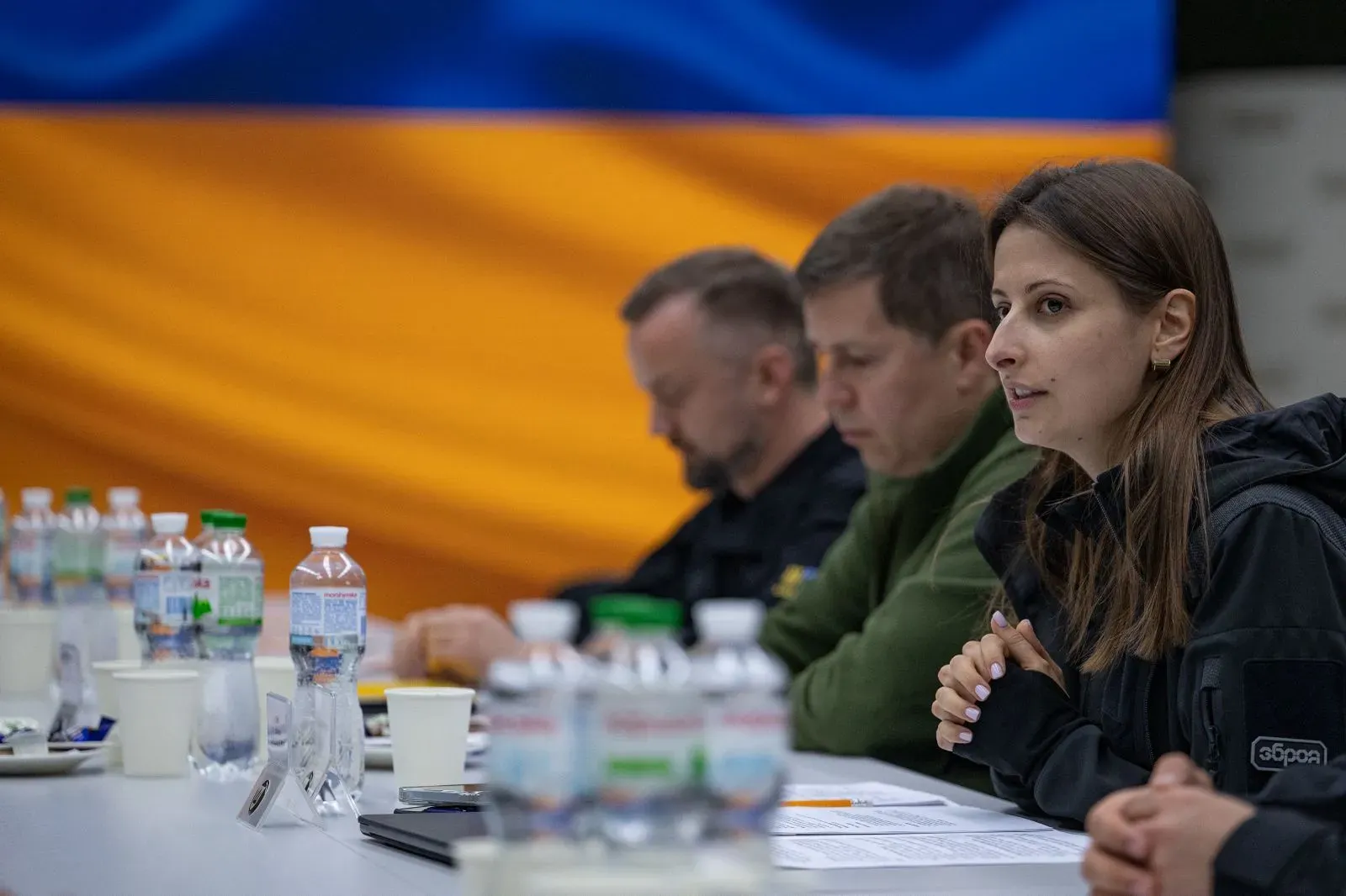 Ганна Гвоздяр обговорила з парламентарями ЄС розвиток спільних оборонних проєктів