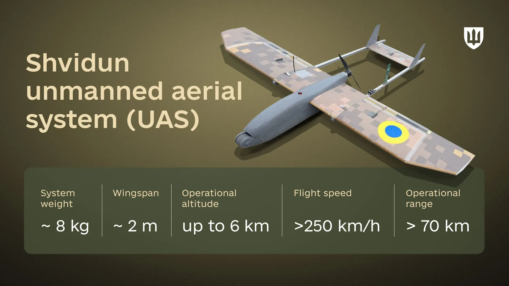 Infographic showing the technical specifications of the Shvidun interceptor drone