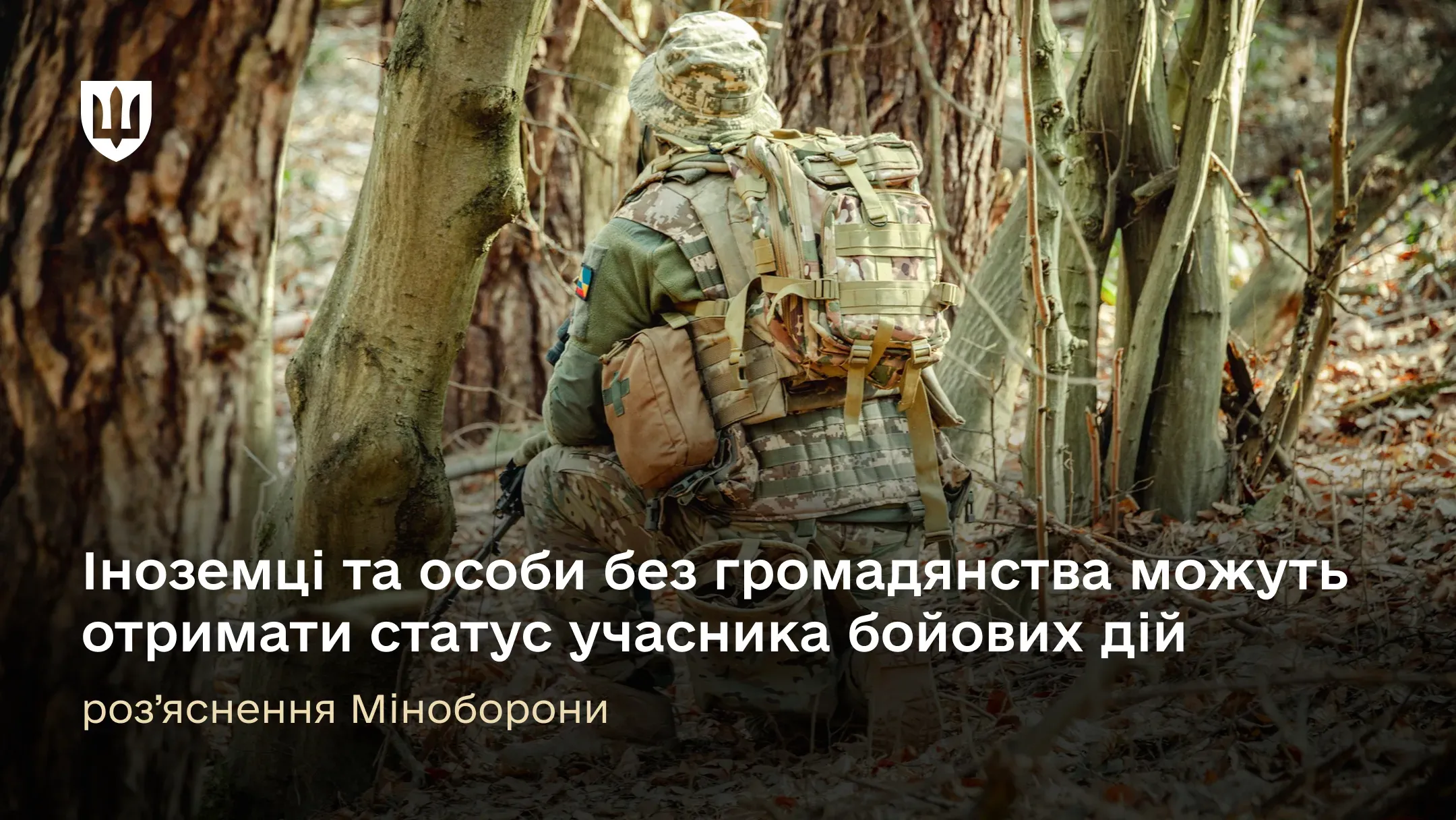 Іноземці, діяльність яких відповідає вимогам законів, можуть отримати статус учасника бойових дій