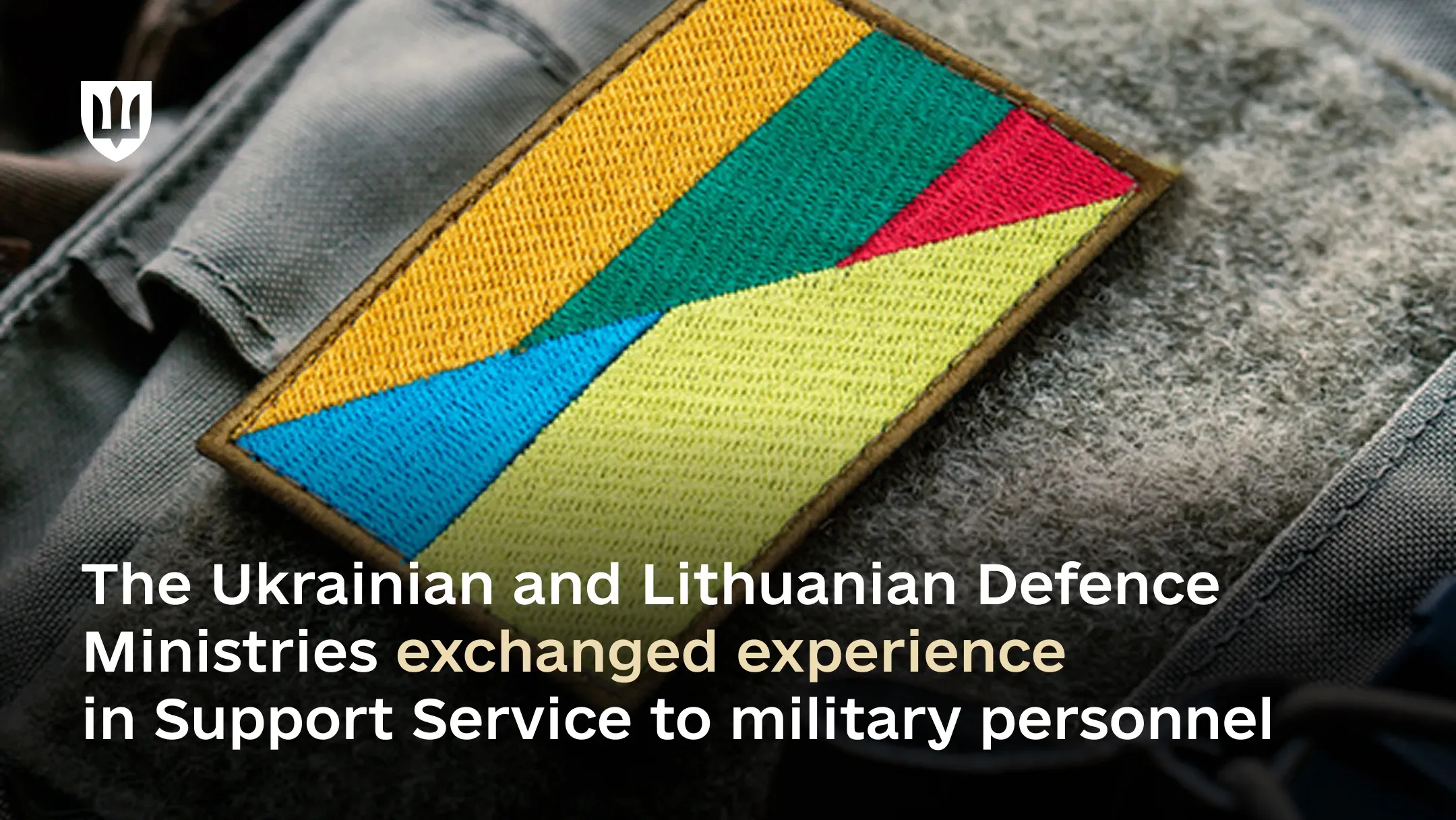 The Ukrainian and Lithuanian Defence Ministries exchanged experience in Support Service to military personnel