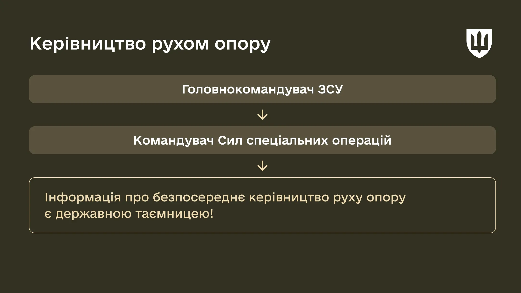 Хто керує рухом опору?