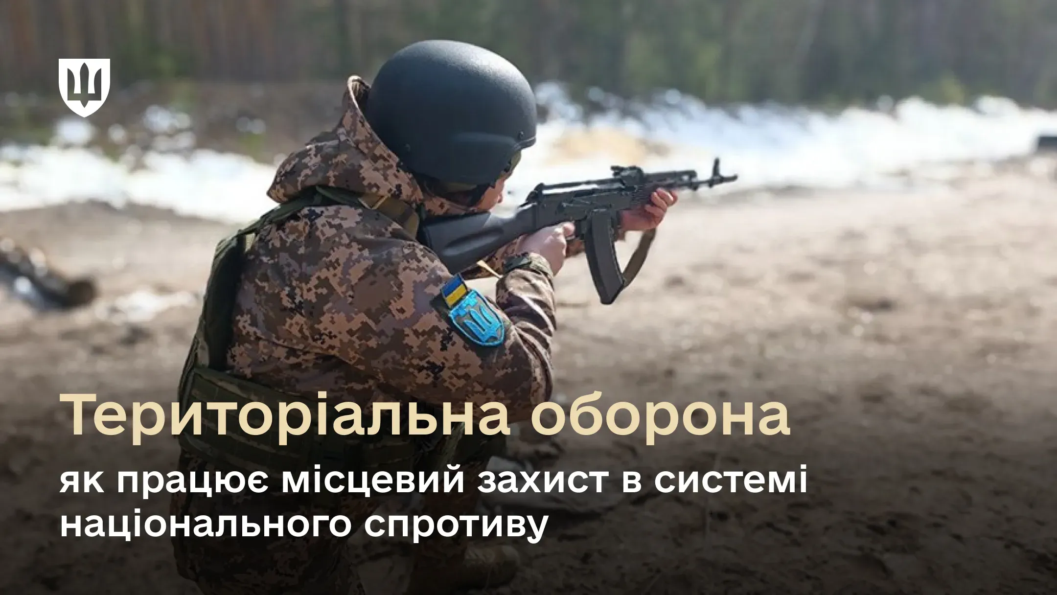 Система національного спротиву в Україні