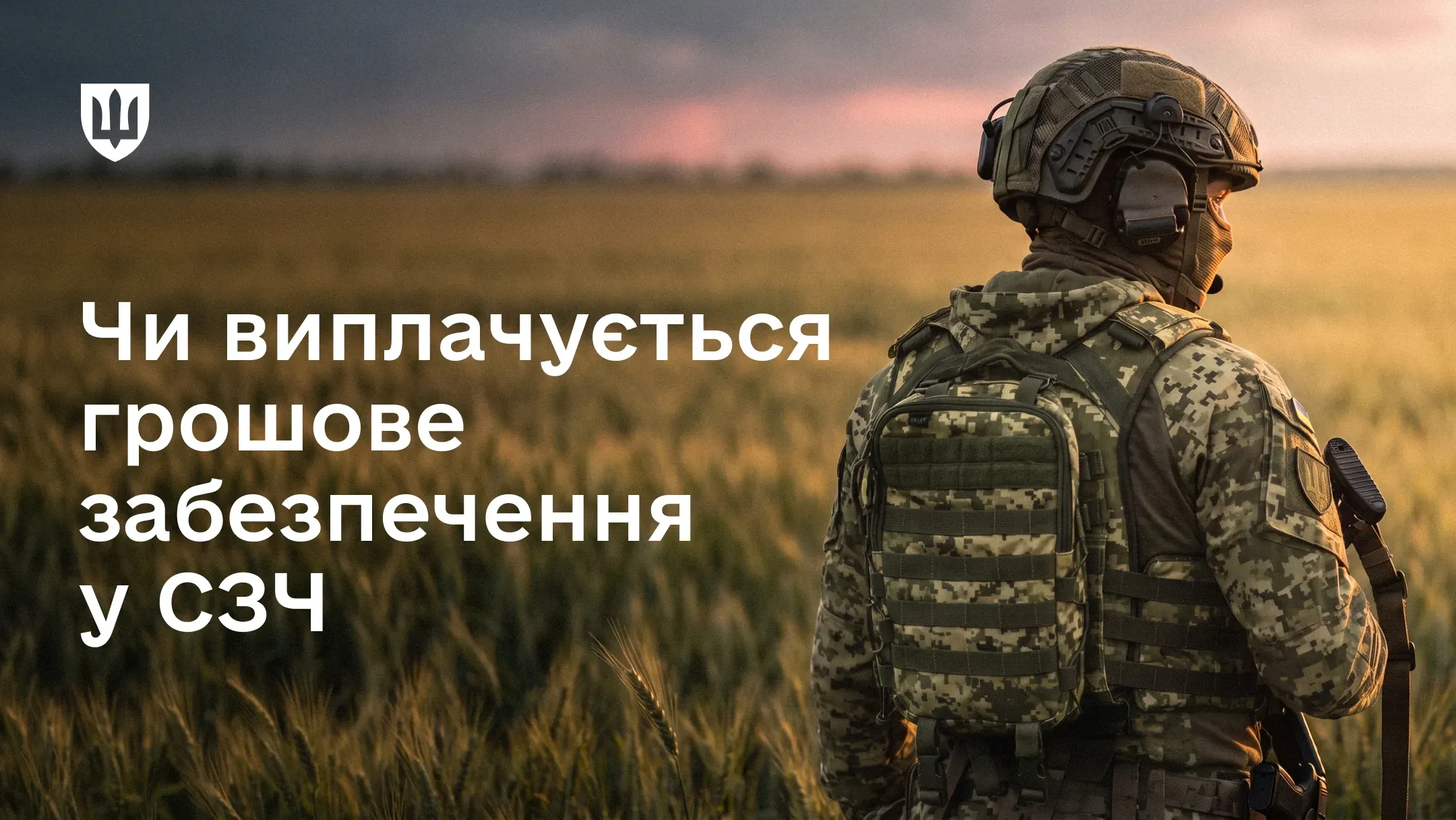 Військовослужбовець у тактичному спорядженні та шоломі спиною до кадру посеред поля