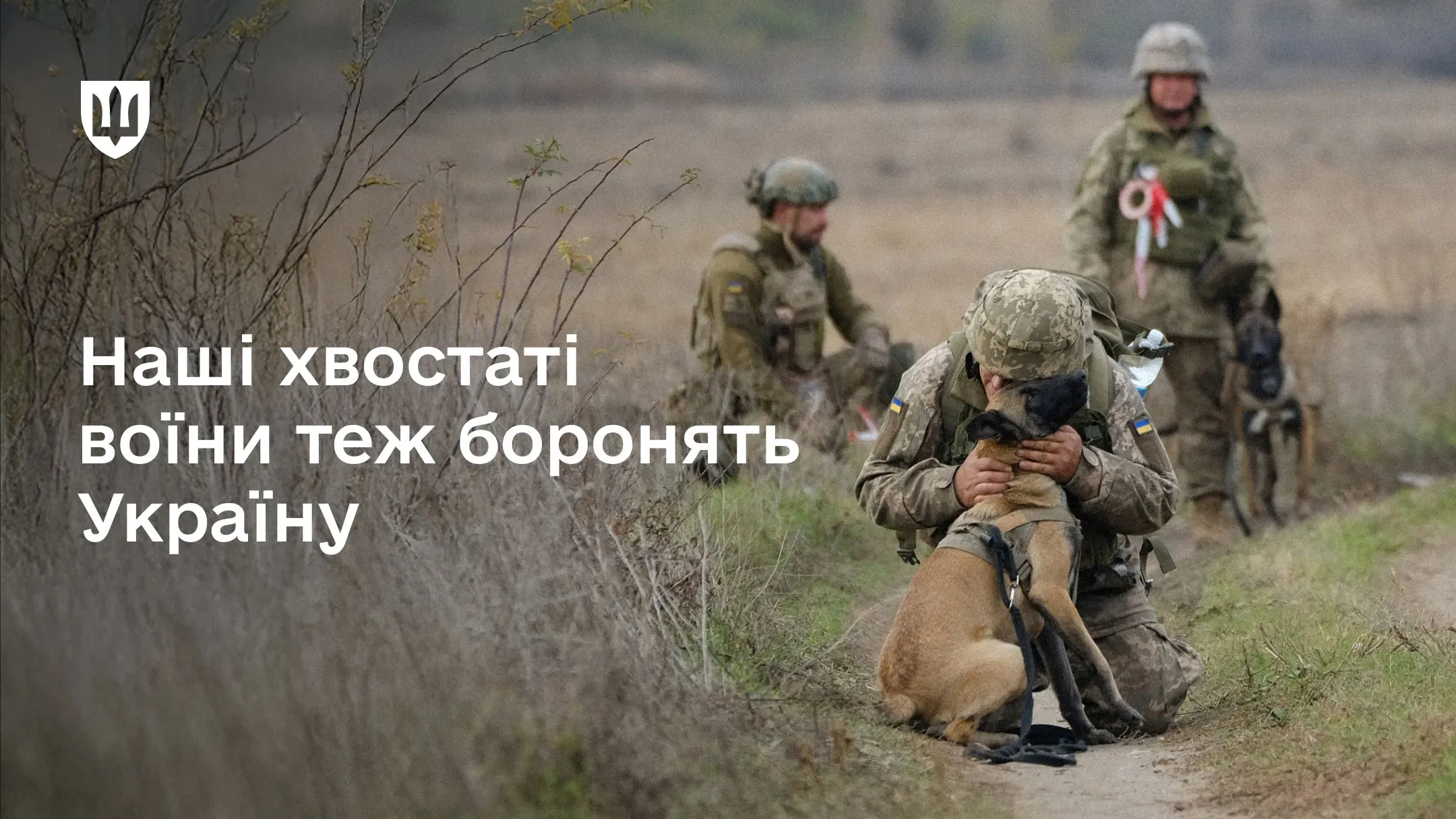 Воїн Кінологічної служби ЗСУ у формі обіймає службового собаку на польовій дорозі, 