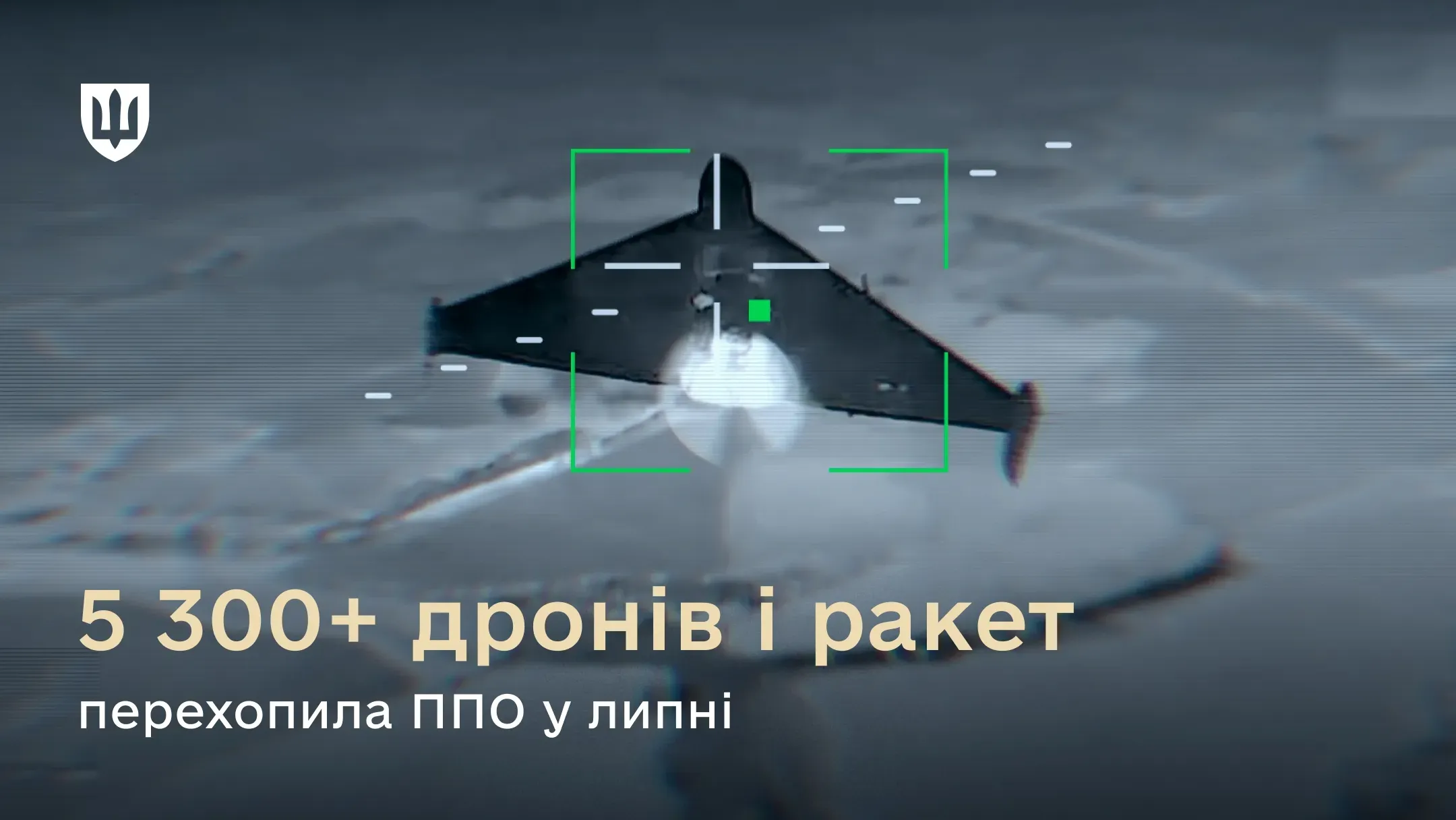 Російський дрон Шахед в прицілі дрона-перехоплювача