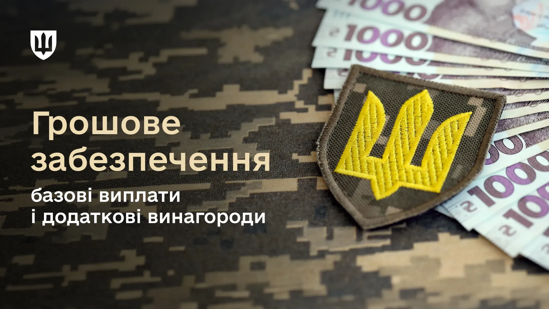 Гроші із шевроном Сухопутних військ на фоні військового пікселя