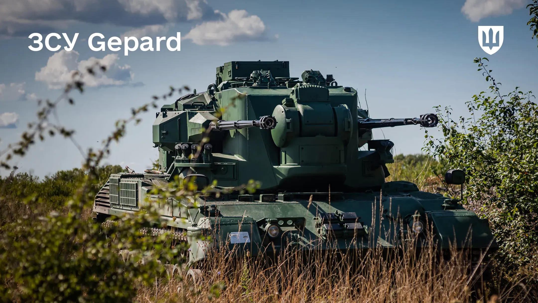 ЗСУ Gepard серед високої сухої трави та зелених кущів під ясним небом з поодинокими хмарами