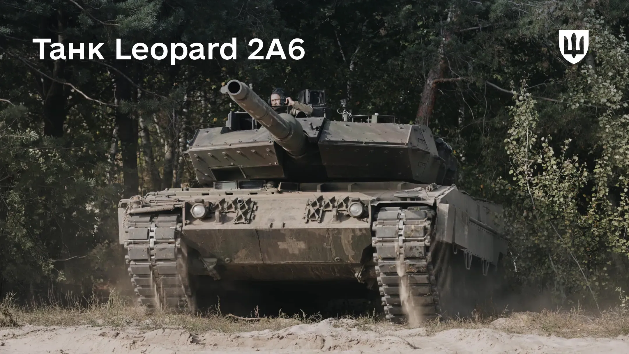 Танк Leopard 2A6 у лісистій місцевості