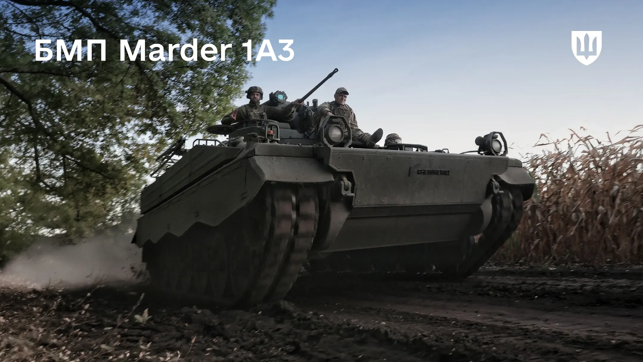 БМП Marder 1A3  рухається ґрунтовою дорогою вздовж кукурудзяного поля та дерев