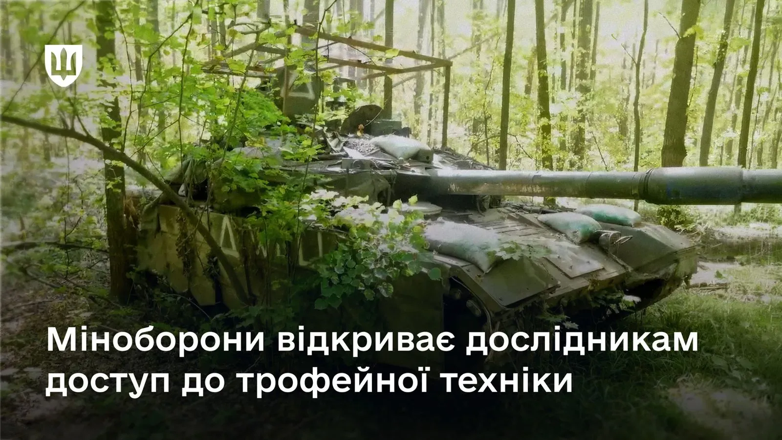 Закамуфльований танк із захисним навісом у лісовій місцевості