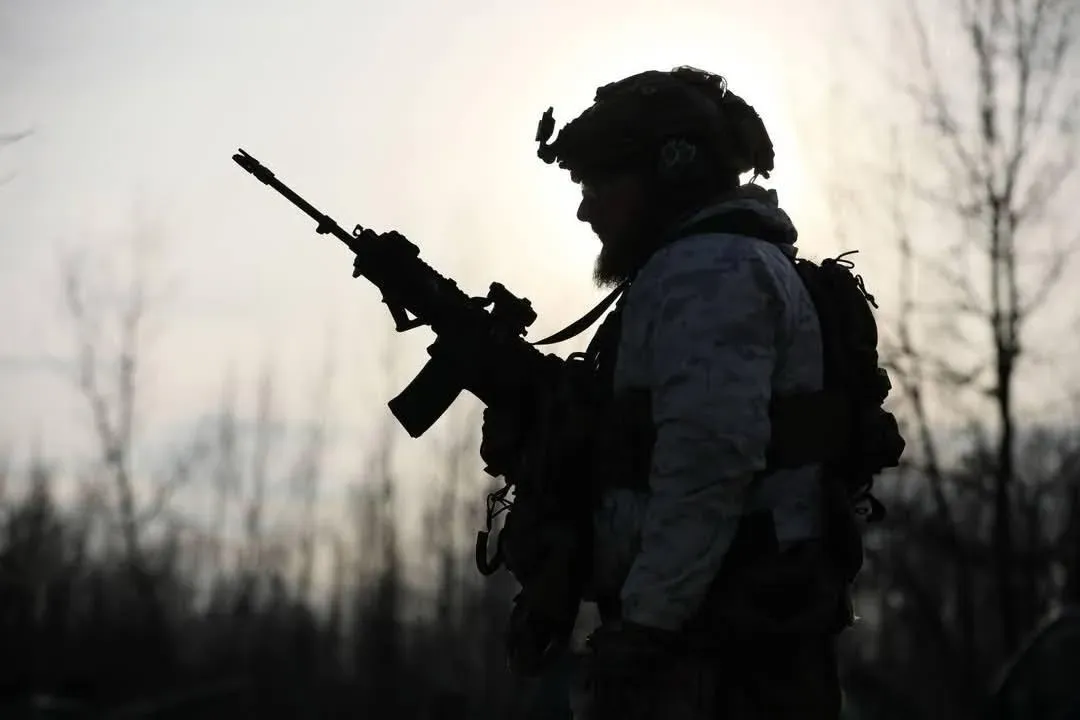 Арсенал Сил оборони у 2024 році поповнився десятками нових зразків стрілецького озброєння та гранатометів